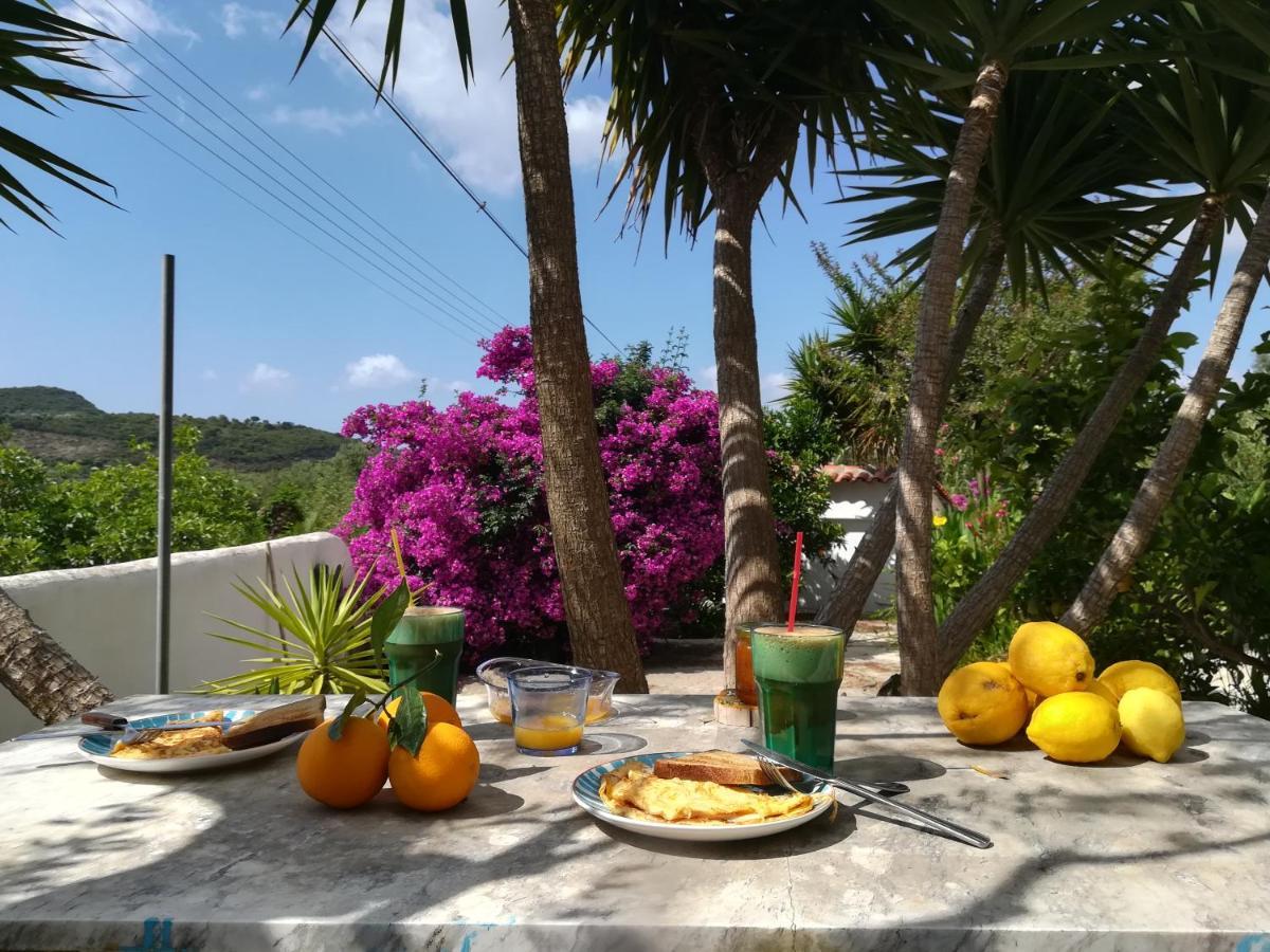 Lemon Tree Cottage Finikounta Exterior photo