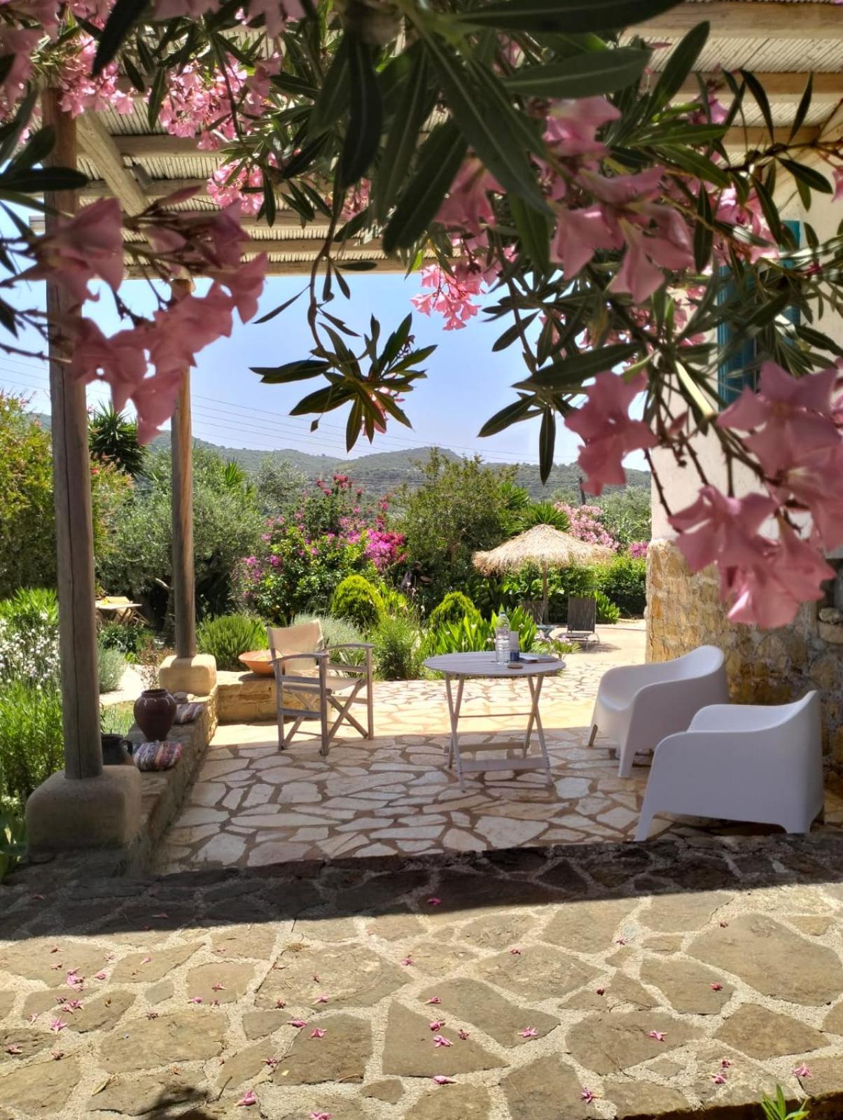 Lemon Tree Cottage Finikounta Exterior photo