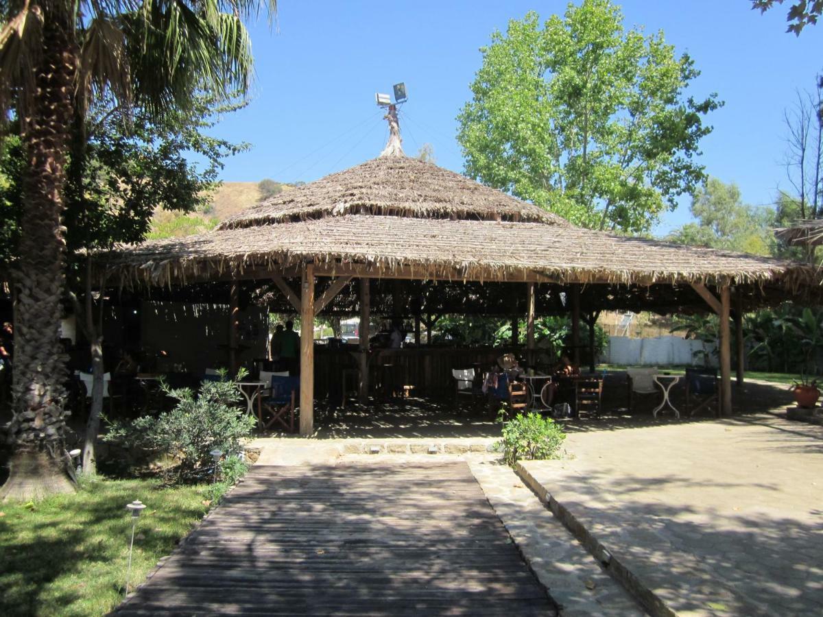 Lemon Tree Cottage Finikounta Exterior photo